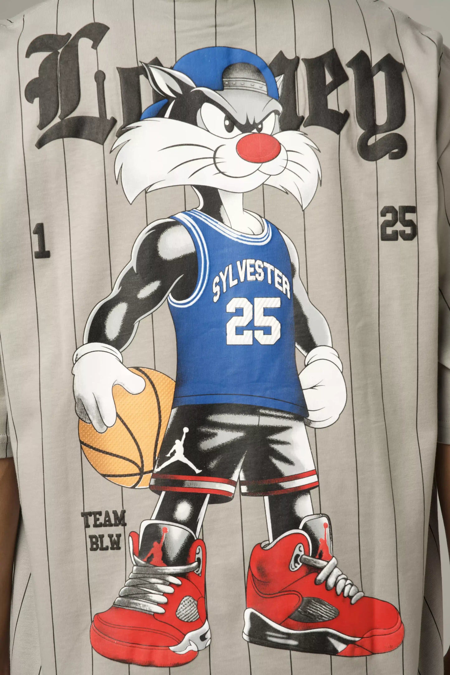 StreetJack Sylvester T-Shirt